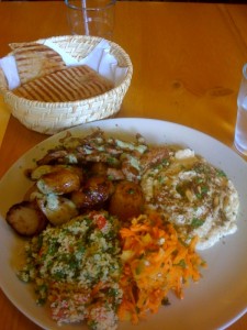 Gaia3 Chicken Shwarma plate
