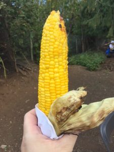 Krause Berry Farms served up a delicious Roasted corn
